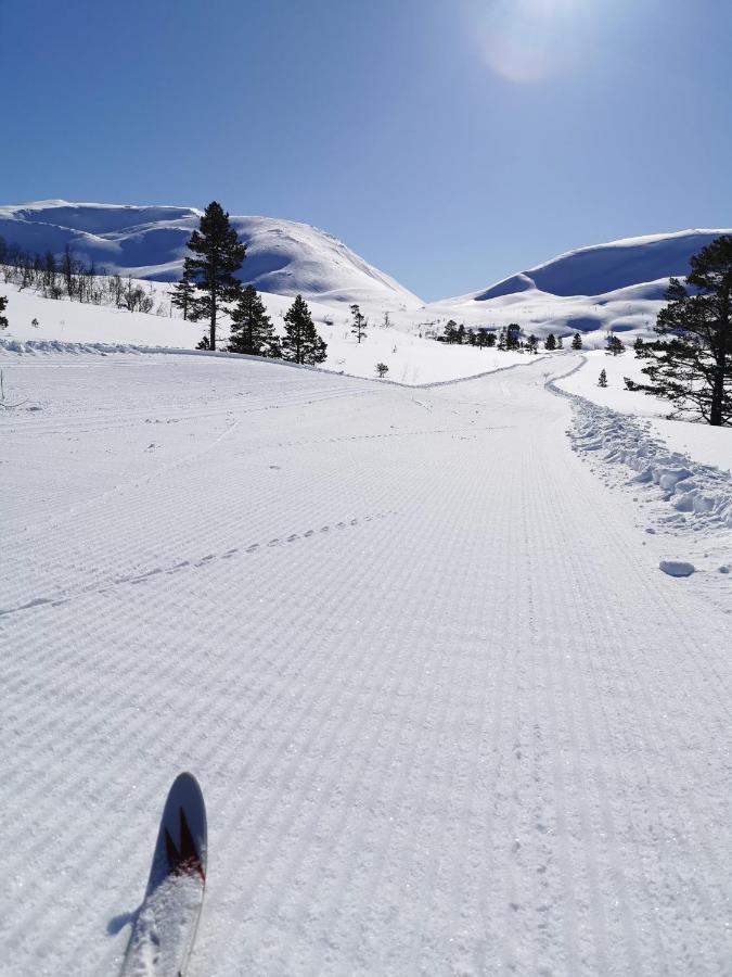 Bjorkelia Lodge Vassenden Kültér fotó
