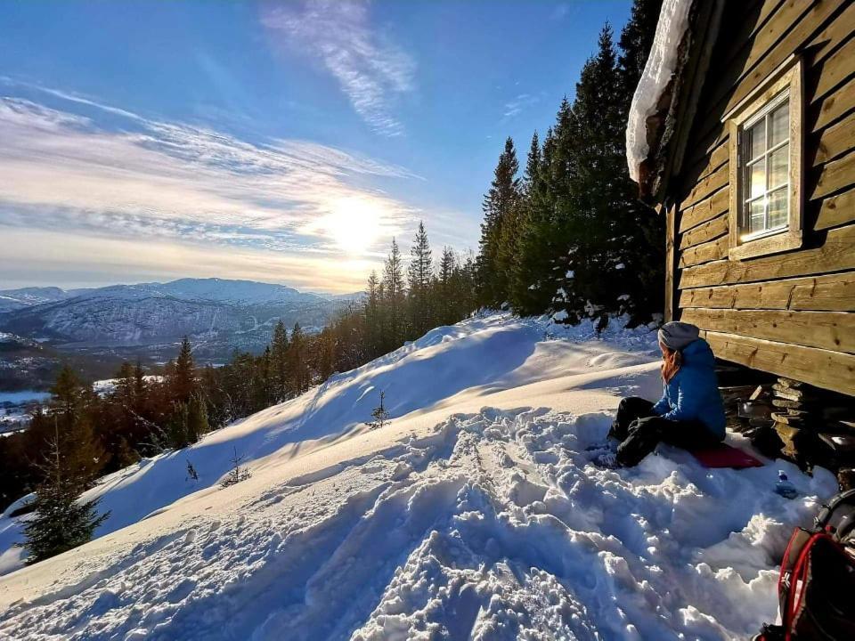 Bjorkelia Lodge Vassenden Kültér fotó